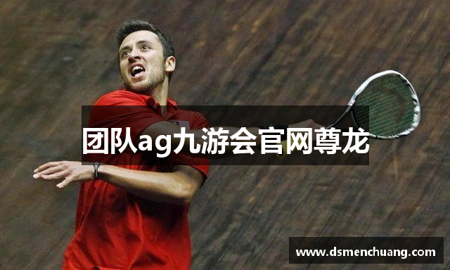 团队ag九游会官网尊龙